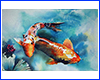  Koi, 6080 ,   .
