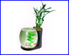 Аквариум Resun, NW-03 NATURE WORLD Черный 3 л. Аквариум Resun, NW-03 NATURE WORLD Черный 3 л.