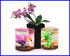 Аквариум Resun, NW-04 NATURE WORLD Черный двойной 2+2 л. Аквариум Resun, NW-04 NATURE WORLD Черный двойной 2+2 л.