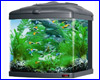 Аквариум Sera Biotop Nano Cube (комплект), 60 л. Аквариум Sera Biotop Nano Cube (комплект), 60 л.