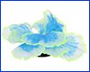   AQUAXER, Fluorescent Coral Blue, 13.5  3.2 .