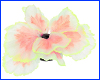   AQUAXER, Fluorescent Coral Pink, 13.5  3.2 .