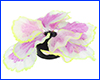   AQUAXER, Fluorescent Coral Purple, 13.5  3.2 .