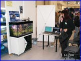  -2007.  . .