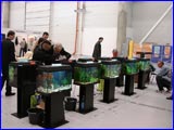  -2007.   .