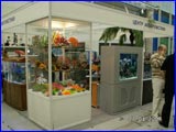  -2007.  .