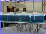  -2007.  .