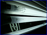  SunSun, 5 , HG-Bio.  AquaMedic, 5 , Ocean White.