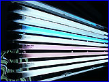  SunSun, 5 , BL-Bio, GR-Bio, HG-Bio.  AquaMedic, 5 , Ocean White, Plant Grow.