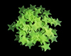  AQUAXER, Glowing Stars Green/Green.
