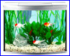 Аквариум Tetra AquaArt Evolution Line 130 л. Аквариум Tetra AquaArt Evolution Line 130 л.