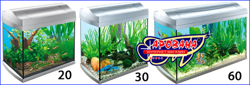  Tetra AquaArt 2, - 100  130 .