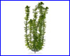  , Tetra Green Cabomba 38 .