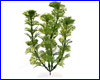  , Tetra Green Cabomba  5 .