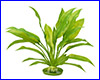  , Tetra Amazonas 22 .