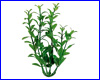  , Tetra Hygrophila 10 .