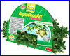  , Tetra Vine Philodendron 40 .