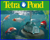  Tetra "   "