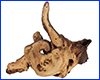 Коряга Trixie, №8982-B3, мопани средняя, 30/21 см. Коряга Trixie, №8982-B3, мопани средняя, 30/21 см.