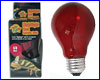  Zoo Med Zoo Med Nightlight Red Reptile Bulb 40 .