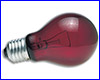  Zoo Med Zoo Med Nightlight Red Reptile Bulb 60 .
