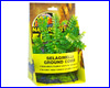  , Zoo Med Selaginella Ground Cover ().