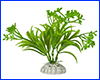 Рослина штучна, Caulerpa, 10 см. Рослина штучна, Caulerpa, 10 см.
