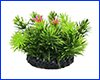 Рослина штучна, Limnophila aromatica, 10 см. Рослина штучна, Limnophila aromatica, 10 см.