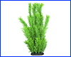 Рослина штучна, Myriophyllum, зелений, 40 см.  Рослина штучна, Myriophyllum, зелений, 40 см.