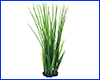 Рослина штучна, Eleocharis acicularis, 37 см. Рослина штучна, Eleocharis acicularis, 37 см.