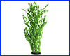 Рослина штучна, Vallisneria, 60 см. Рослина штучна, Vallisneria, 60 см.