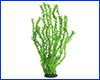 Рослина штучна, Elodea, 55 см. Рослина штучна, Elodea, 55 см.