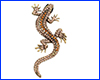 Брошь геккон, Gecko Yellow, 6.5х3 см.