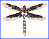 Брошь стрекоза, Dragonfly Black, 4.6х3.3 см.