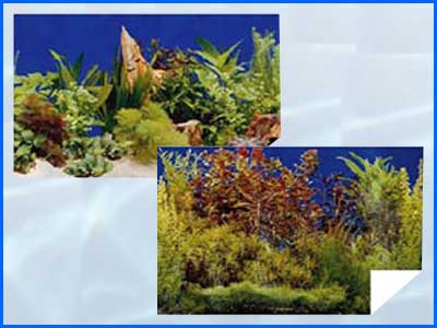 Фон двусторонний плотный, Resun KF1/KF2, 50 см, (за 10 см). Фон двусторонний плотный, Resun KF1/KF2, 50 см, (за 10 см).