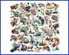 Набір наклейок, Wild Animals, 10 шт. Набір наклейок, Wild Animals, 10 шт.